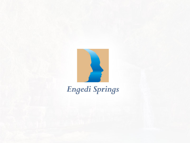 Engedi-Springs01